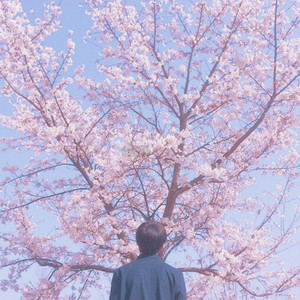 2014av天堂影音先锋
